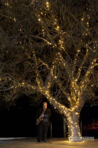 Sax player under tree