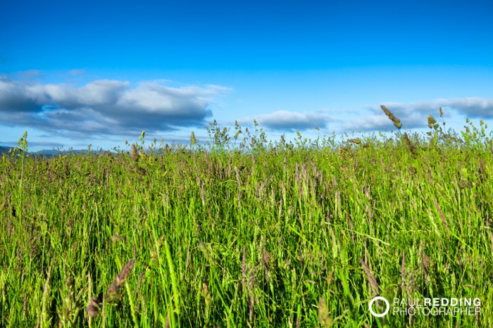 Farm land by Paul Redding agriculture photographer Tasmania