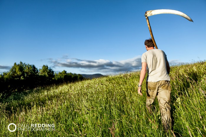 Southern Scythe Squad - Paul Redding Agriculture Photographer TAS