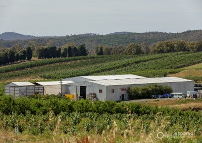 Cherry Production Tasmania. Paul Redding Photographer Tasmania