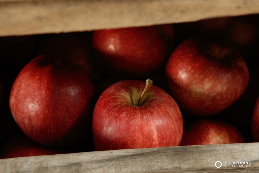apple production Calthorpe Orchards. Sidmouth Tasmania. Hobart Food Photographer - Paul Redding