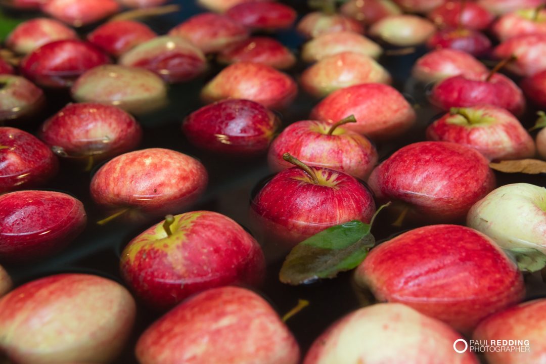 Apple Production Tasmania